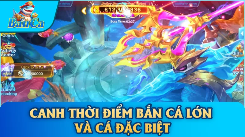 Canh thời điểm bắn cá lớn và cá đặc biệt