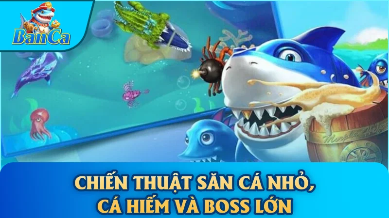 Chiến thuật săn cá nhỏ, cá hiếm và boss lớn