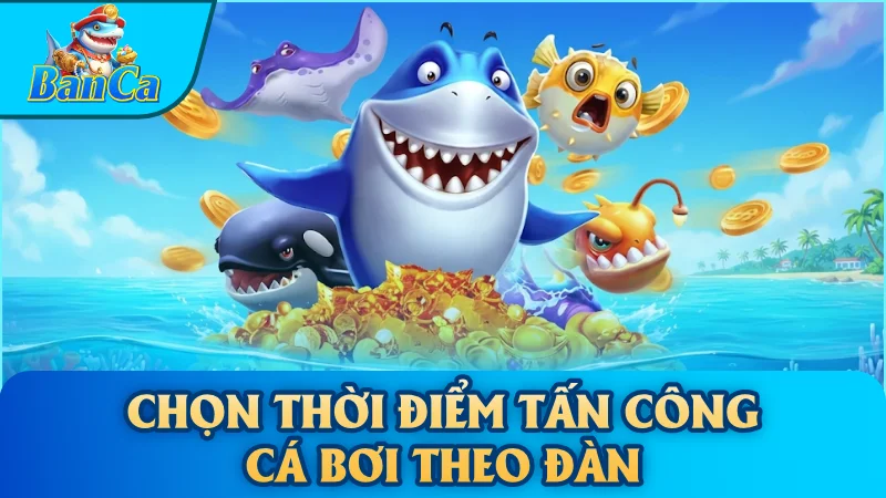 Chọn thời điểm tấn công cá bơi theo đàn
