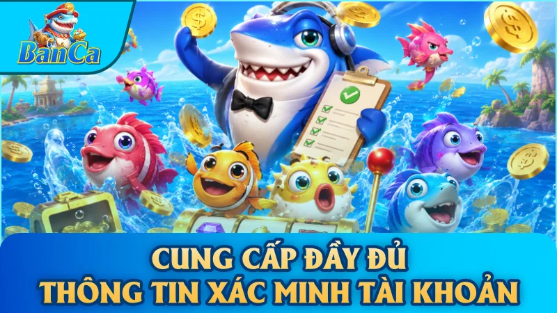 Cung cấp đầy đủ thông tin xác minh tài khoản
