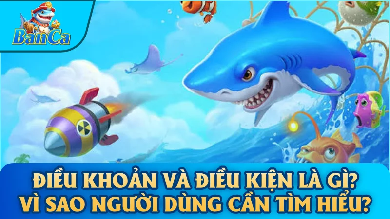 Điều khoản và điều kiện là gì? Vì sao người dùng cần tìm hiểu?