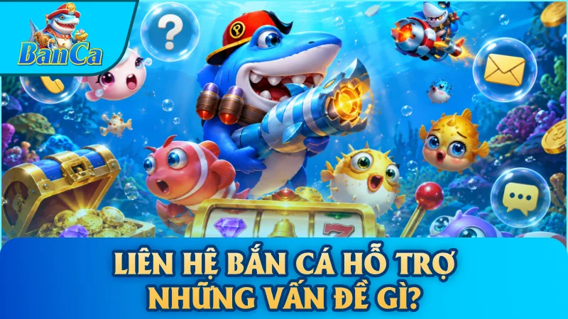 Liên hệ bắn cá hỗ trợ những vấn đề gì?