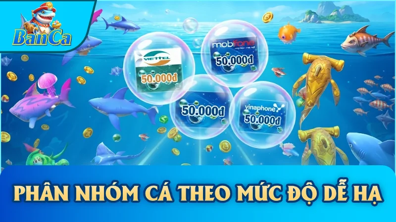 Phân nhóm cá theo mức độ dễ hạ