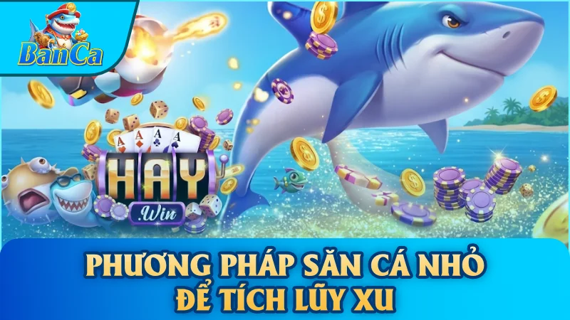 Phương pháp săn cá nhỏ để tích lũy xu
