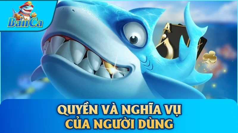 Quyền và nghĩa vụ của người dùng